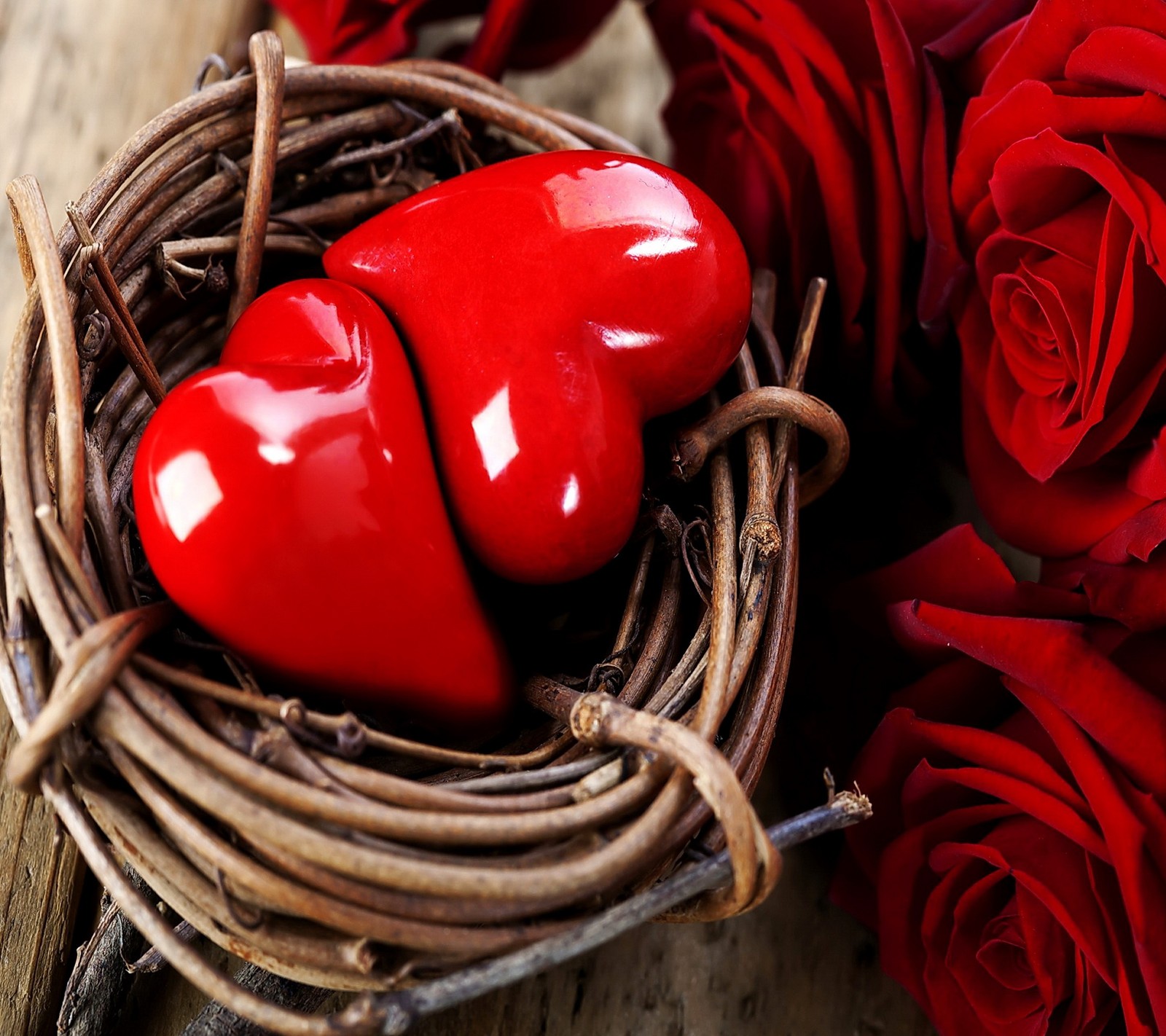 There are two red hearts in a nest with roses (heart, love, nest, romantic, rose)