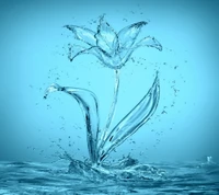 blue, drops, flower, splash, water wallpaper