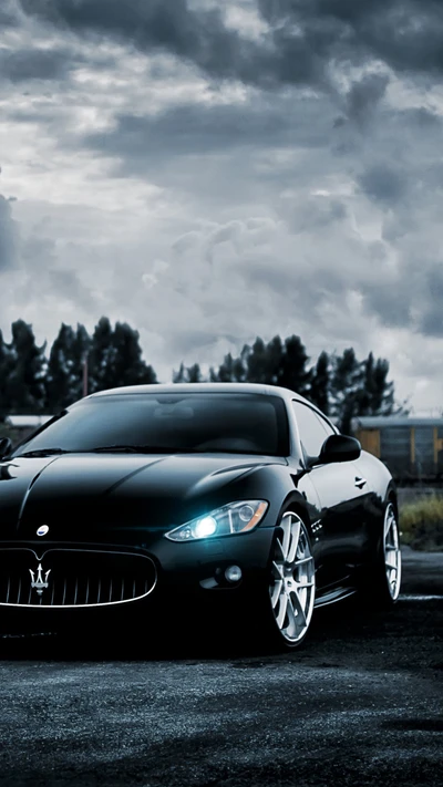 voitures, maserati, supersportive