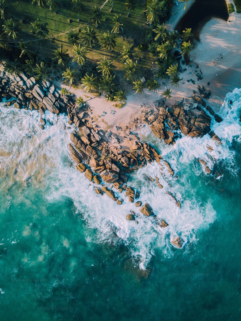 Аэросъемка пляжа с водой и пальмами (пляж, шри ланка)