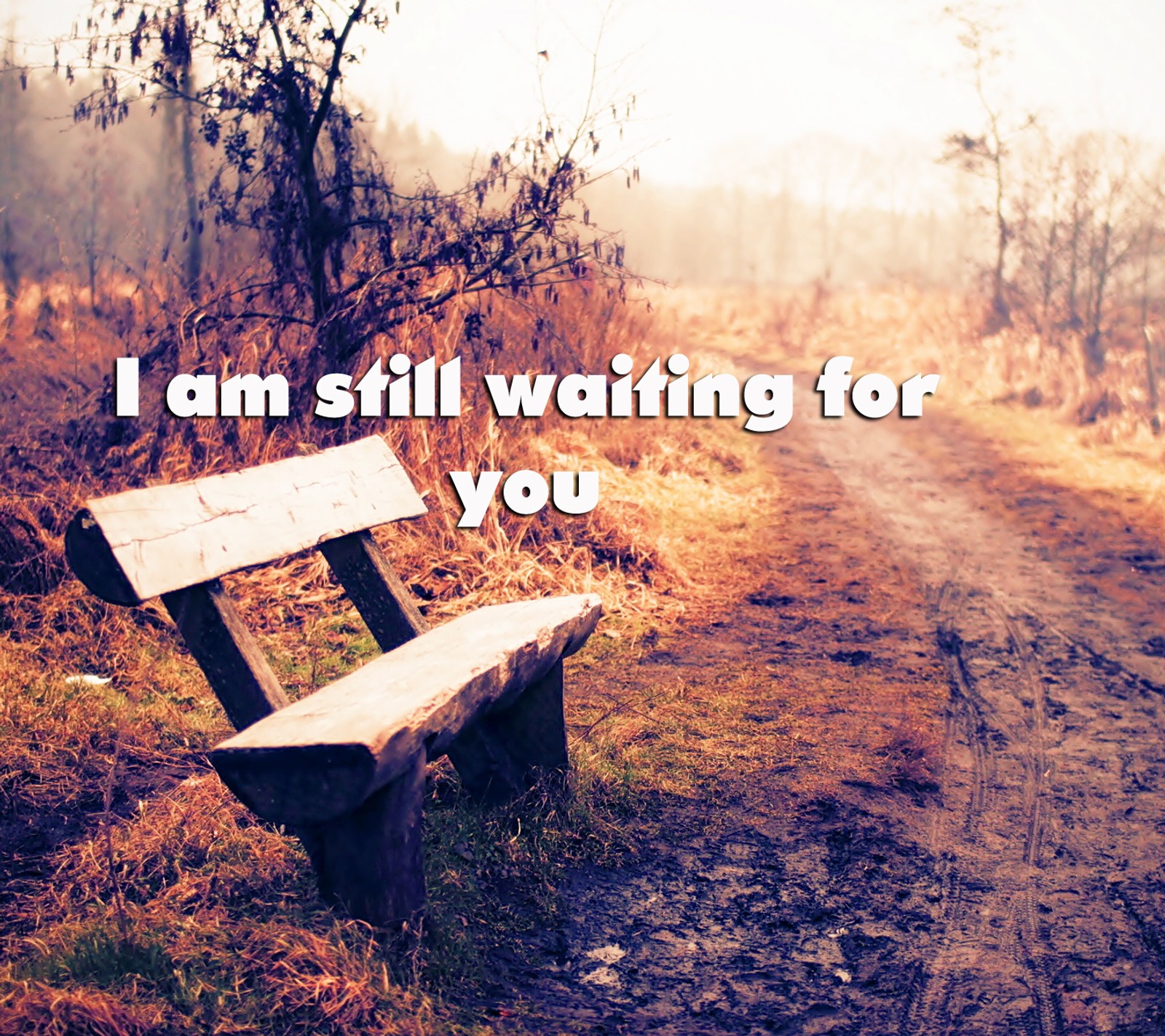 There is a bench sitting on the side of a dirt road (hd, i miss you, still waiting)