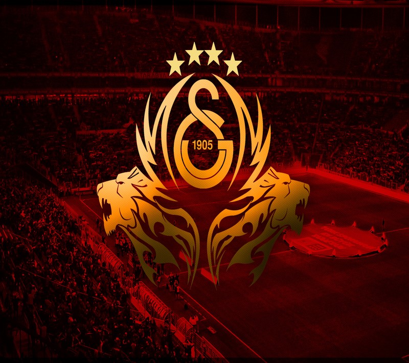 Крупный план футбольного поля с толпой людей (galatasaray, чемпион)