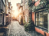 Charming Cobblestone Alleyway in a Quaint Urban Neighborhood