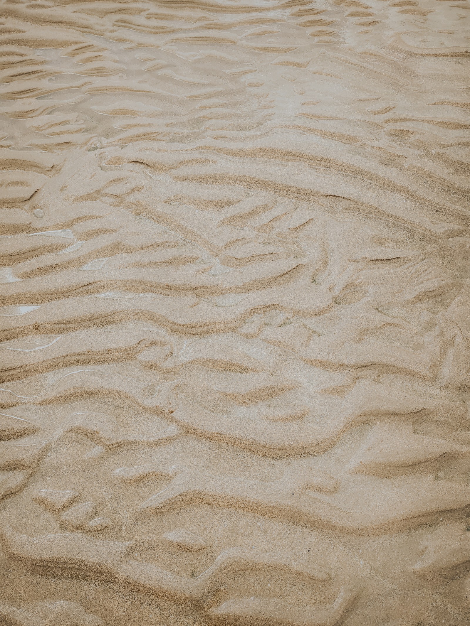 Araffed sand on a beach with a surfboard in the foreground (beige, sand, material, ecoregion, wood)