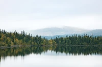 Reflexões serenas de florestas perenes e montanhas nebulosas à beira de um lago tranquilo