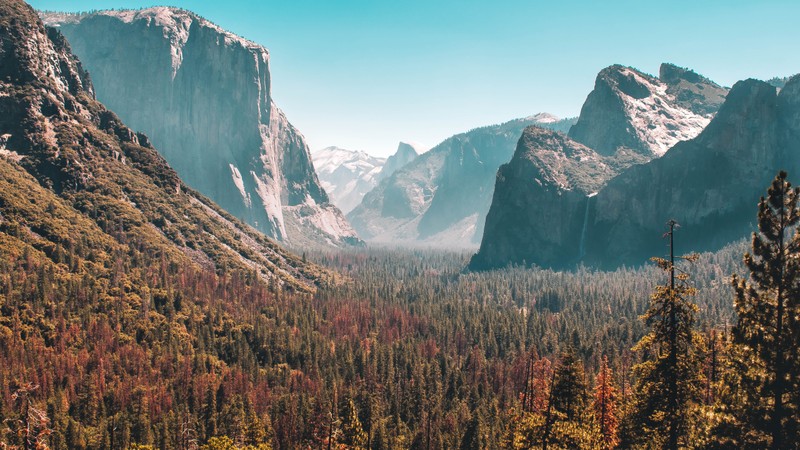 Вид на долину с горами и деревьями на заднем плане (водопад йосемити, yosemite falls, долина йосемити, yosemite valley, полукруглый купол)