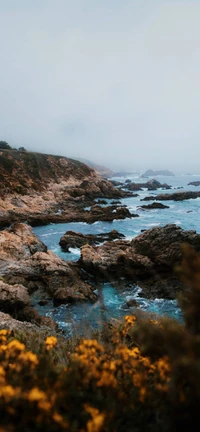 Serene Coastal Highlands: A Natural Watercourse Framed by Rocky Terrain and Wildflowers