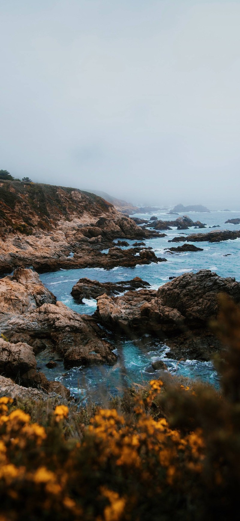 Птица стоит на камнях у воды (дерево, рамка для фотографий, вода, водные ресурсы, природный пейзаж)