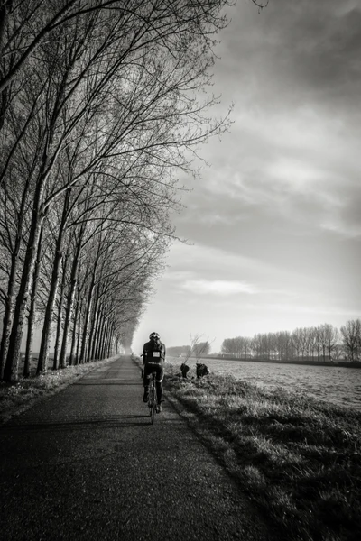 Winterradfahren durch monochrome Bäume unter einem bewölkten Himmel