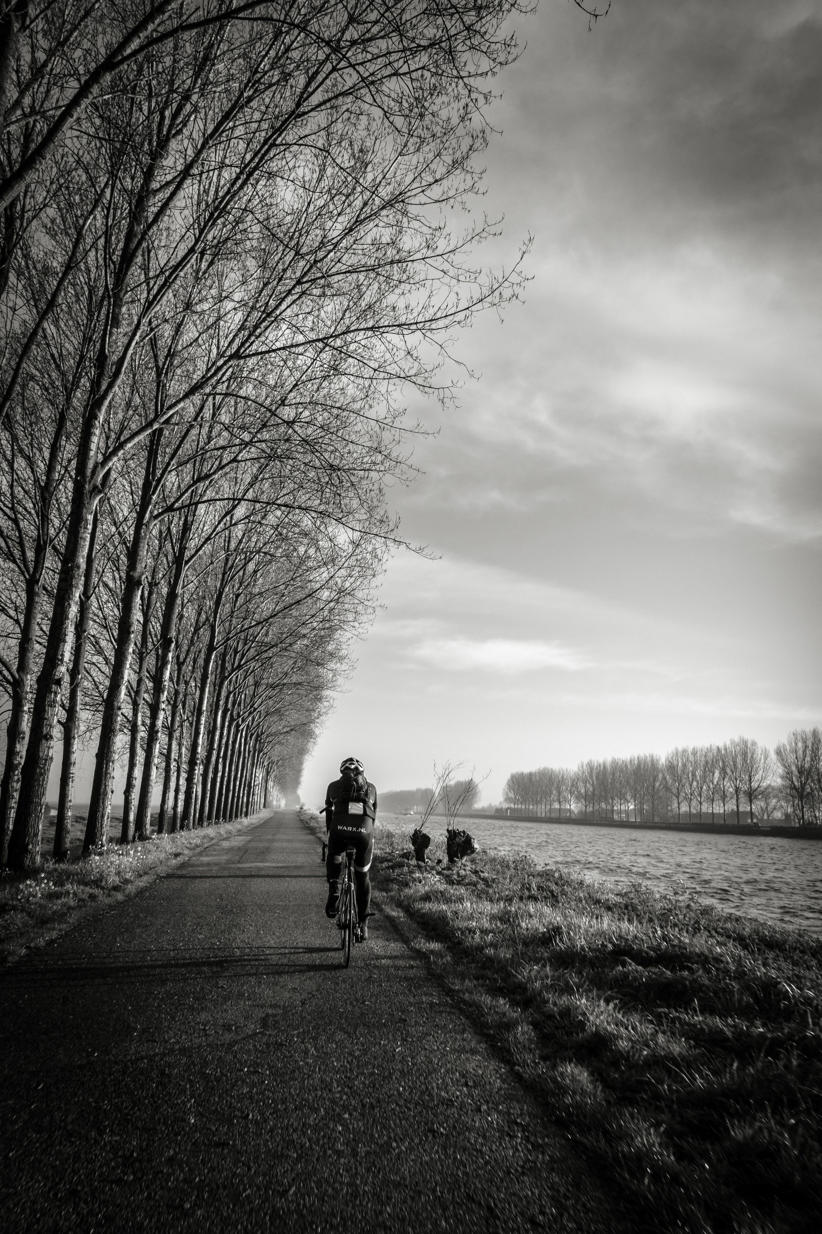 Foto en blanco y negro de un hombre montando una bicicleta por un camino (blanco, negro, árbol, monocromo, nube)