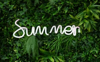 summer, neon sign, green aesthetic, plants, ferns wallpaper