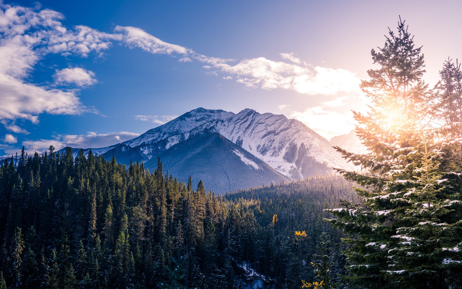 Гора с деревьями и снегом на земле. (банф, banff, озеро морейн, национальный парк, горные образования)