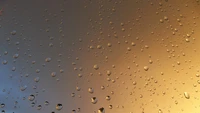 water, drop, rain, atmosphere, weather forecasting wallpaper