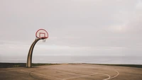 landschaft, basketballplatz, baum, sportstätte, straßenlaterne