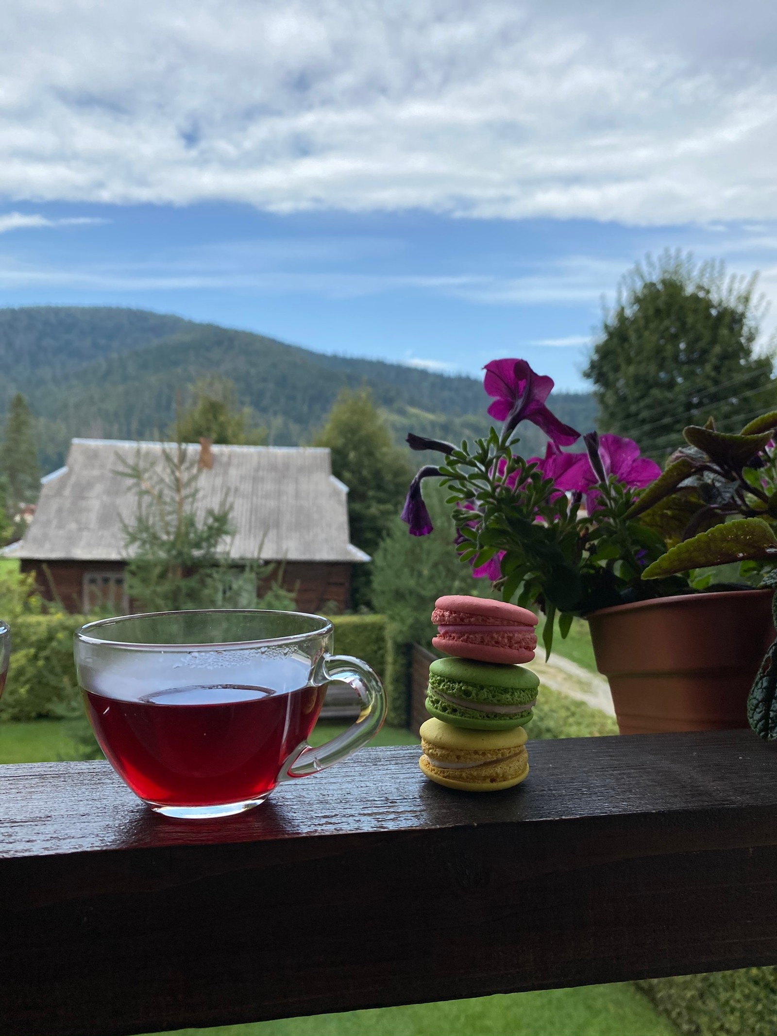 Hay una taza de té y macarons en un balcón (flor, maceta, ciencia, física, utensilios de servir)