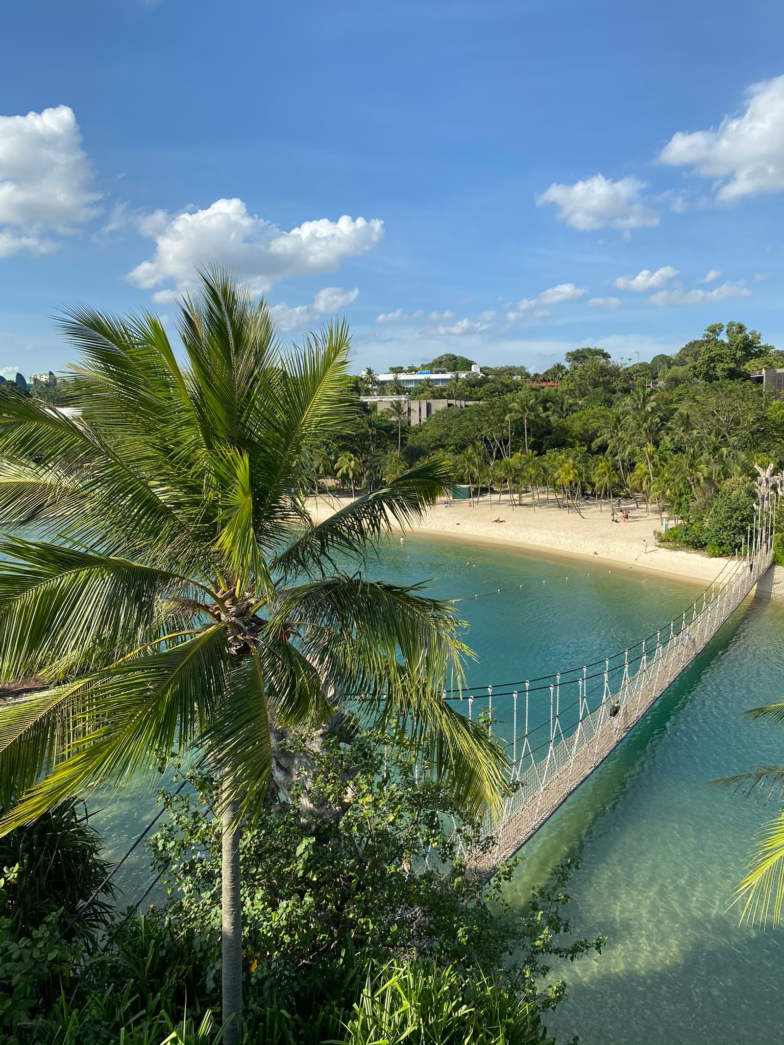 Araffe bridge over a body of water with a beach in the background (vegetation, palm trees, water, biology, body of water)