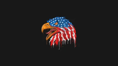 Bald Eagle with American Flag Colors in Vector Illustration