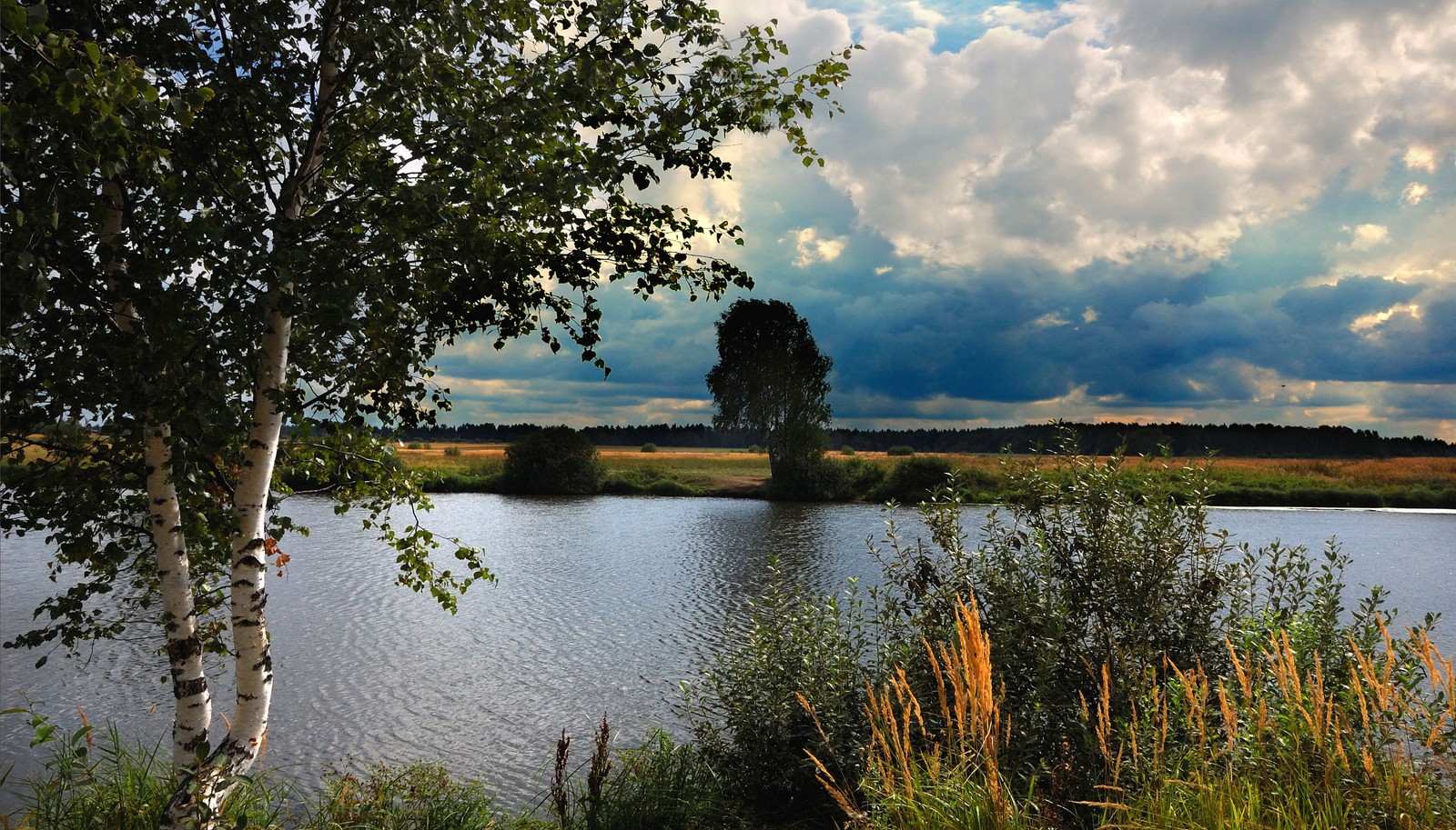 Trees and grass near a lake with a sky background (reflection, landscape painting, nature, tree, water)