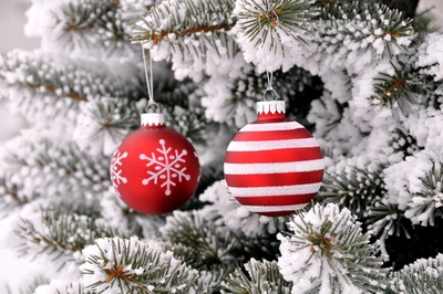 weihnachtstag, weihnachtsbaum, weihnachtsornament, feiertag, baum