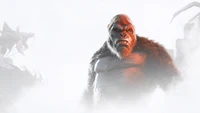 kong instinto de supervivencia, kong survivor instinct, juegos 2024, 5k, king kong