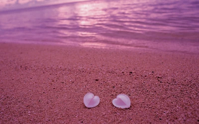 Conchas em forma de coração na praia de Miami ao amanhecer