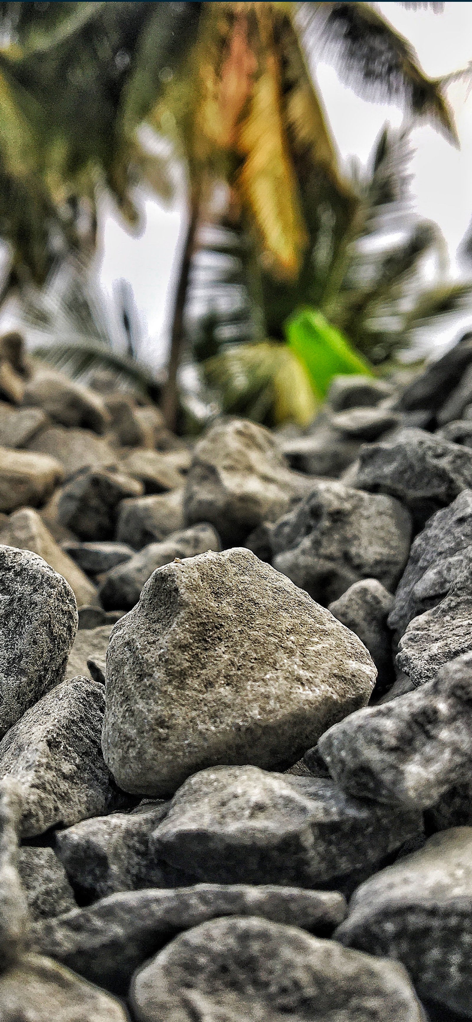 water, rock, bedrock, close up, rubble wallpaper