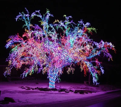 festivo, luces, noche, árbol