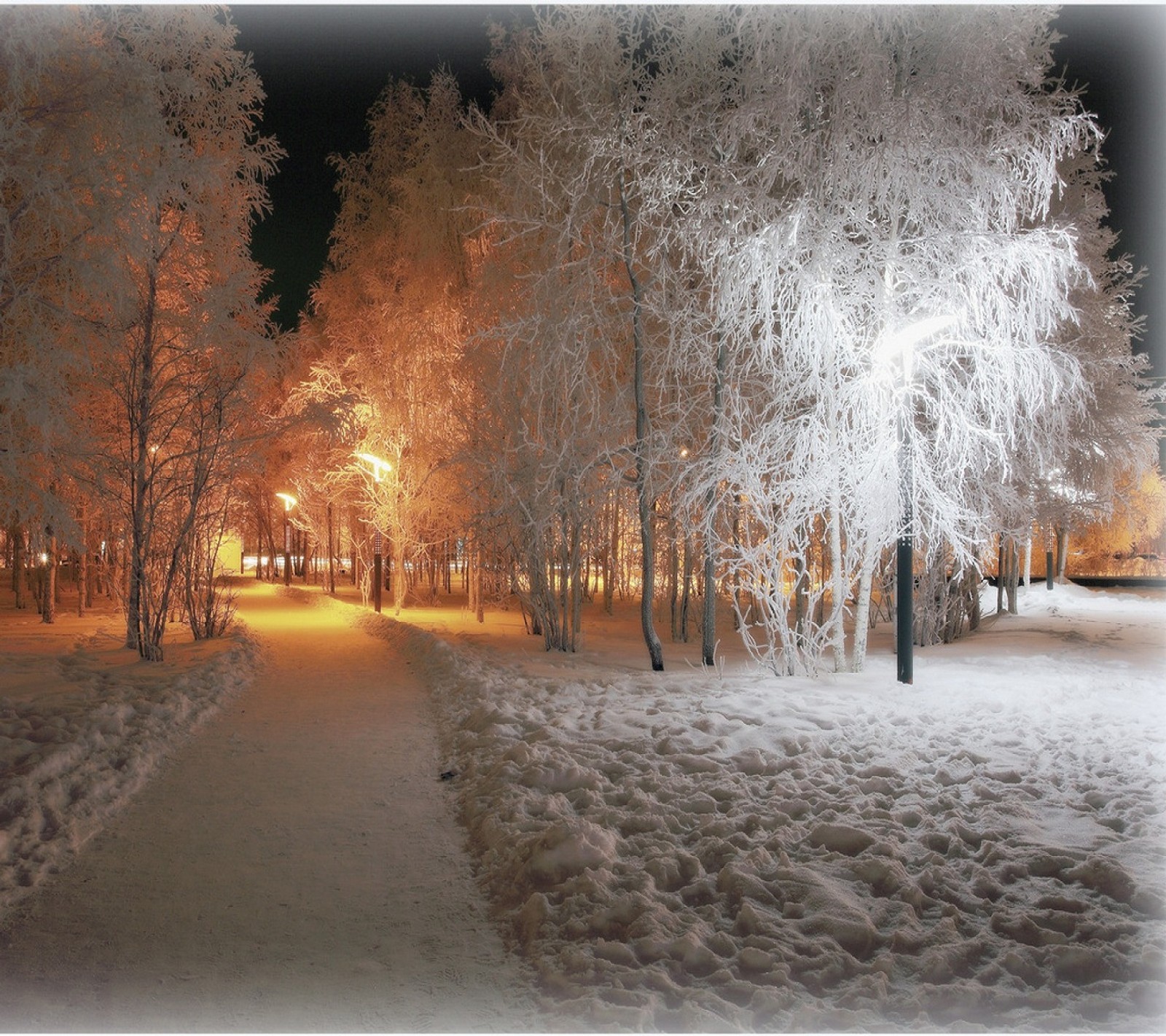 Ein verschneiter weg in einem park bei nacht mit bäumen und straßenlaternen (licht, winter)