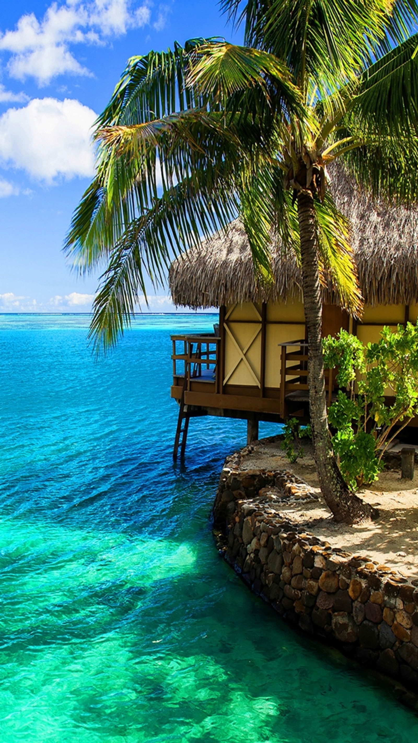 Há uma pequena cabana na costa de uma ilha tropical (praia, ilha, novo, oceano, palmeira)