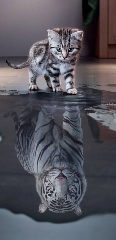 Soñando con la Grandeza: Un Gatito y su Reflejo de Tigre