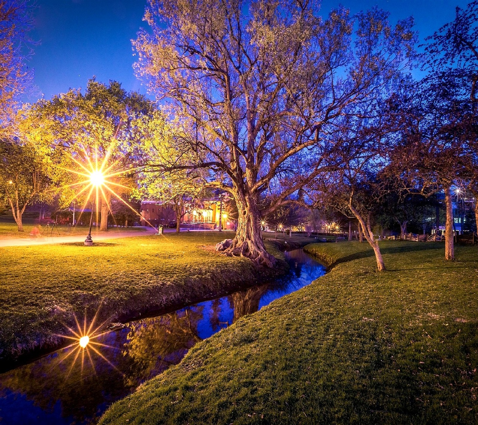 Une vue d'un parc avec un ruisseau et des arbres la nuit (nature)