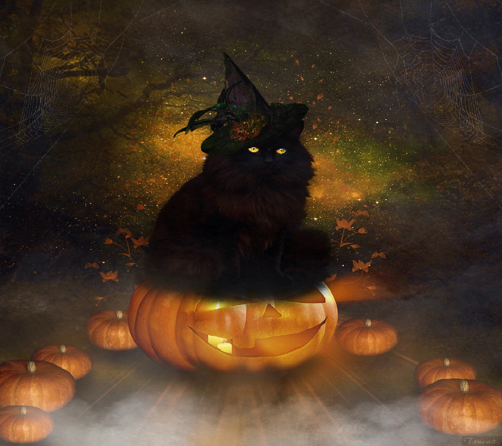 There is a black cat sitting on a pumpkin with a witch hat (halloween, happy)