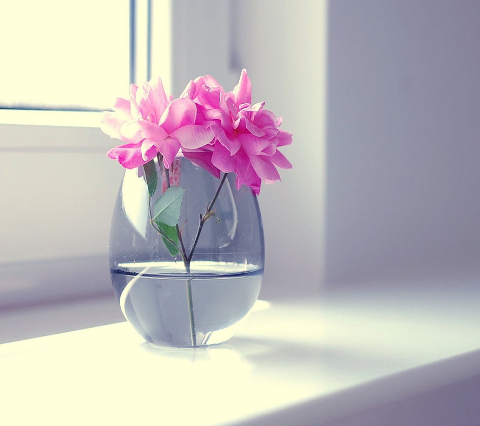 Há um vaso com flores rosas no peitoril da janela (bonito, simplesmente)