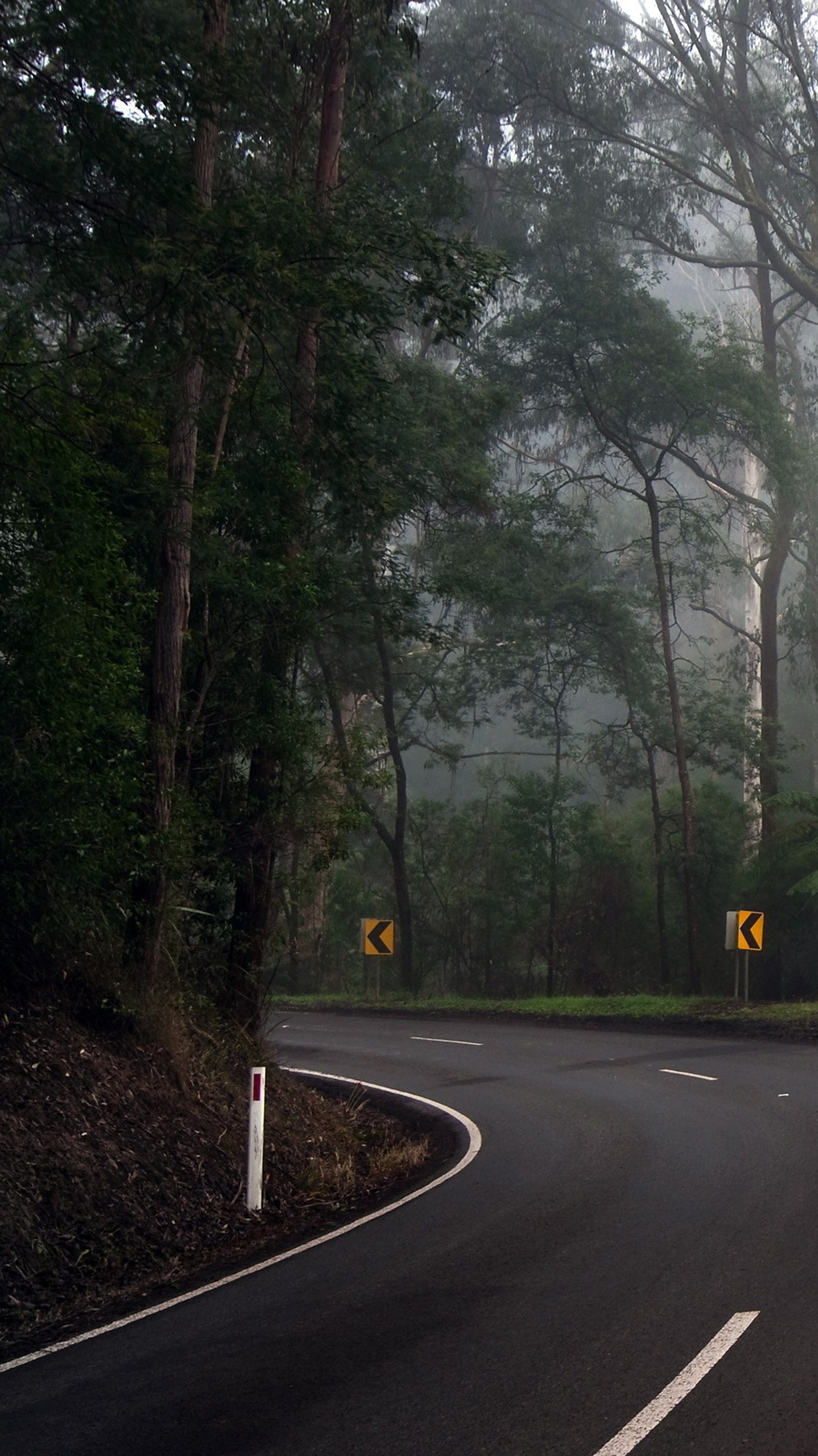 Há um carro dirigindo por uma estrada na neblina. (abstrato, estrada)