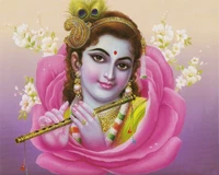 in rose, krishna