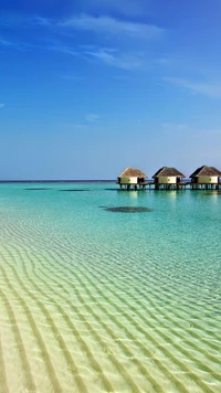 Tranquil Waters and Overwater Bungalows