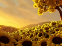 природа, sunflower world