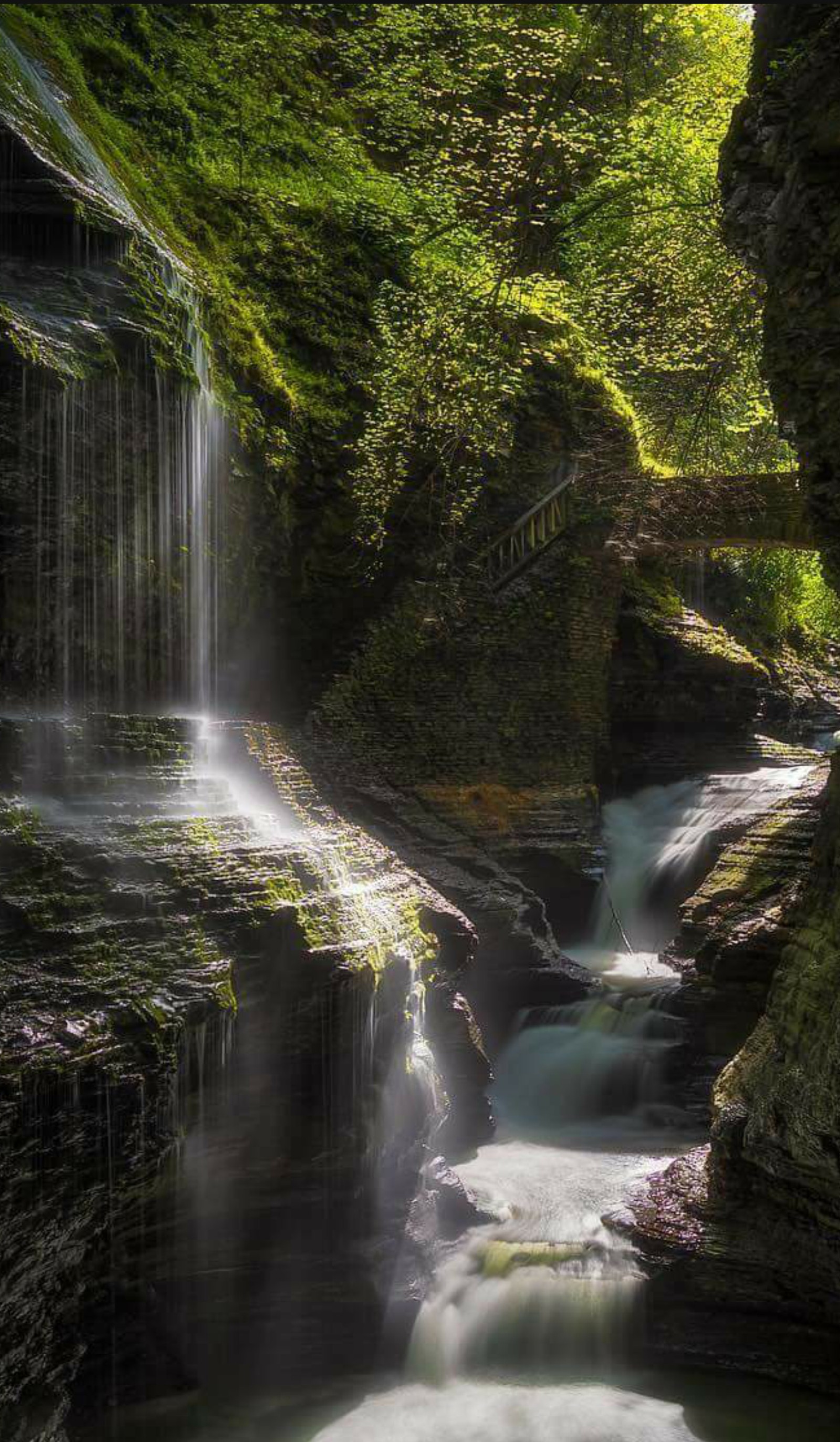 Lade dschungel, karen story nature Hintergrund herunter