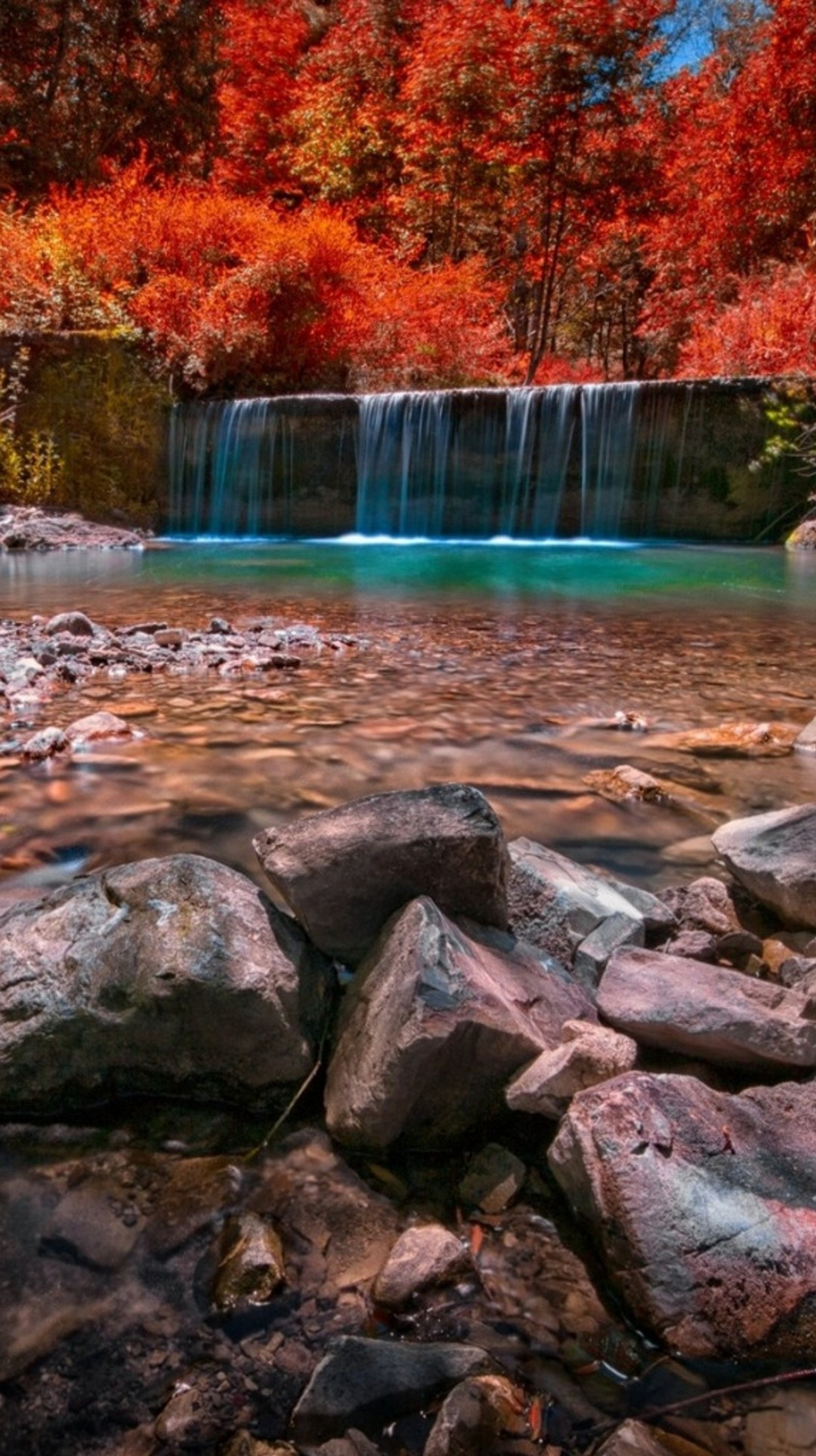 Cascada en el bosque con hojas rojas y rocas en primer plano. (otoño, cascadas, rocas)