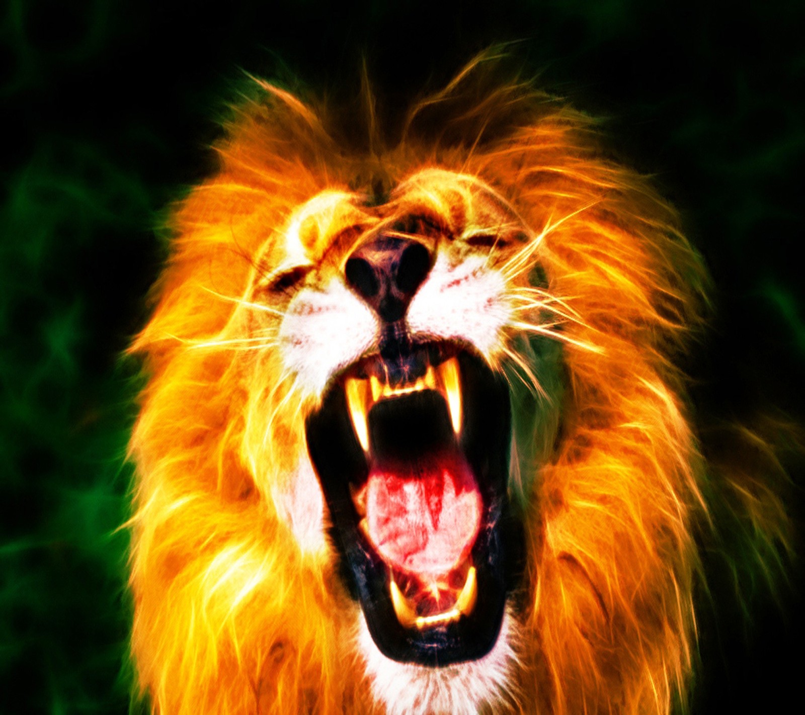 Download lion, wallpaper for free