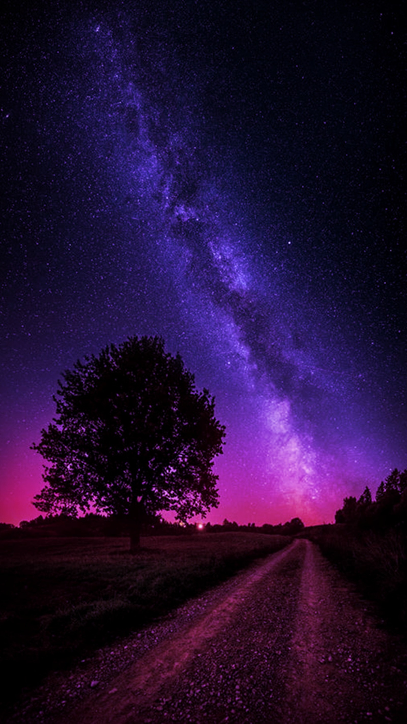 Purple and black night sky with a lone tree and a purple and black sky (night, sky, starry)