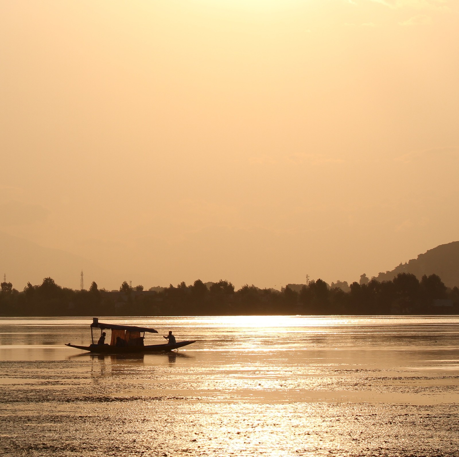 Скачать обои лодка, индия, india, кашмир, shikara