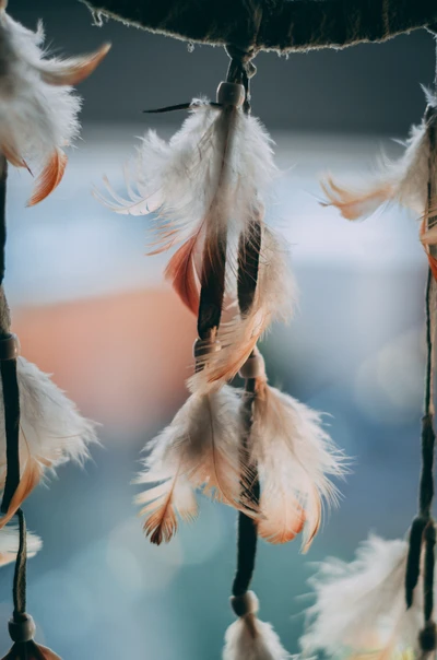 Primer plano de las plumas del atrapasueños: Una mezcla de naturaleza y arte