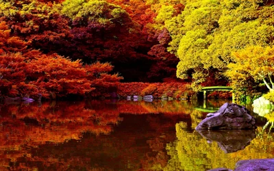 landschaftsmalerei, natur, blatt, reflexion, baum