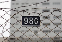 Chain Link Fence with Barbed Wire and Identification Number 980