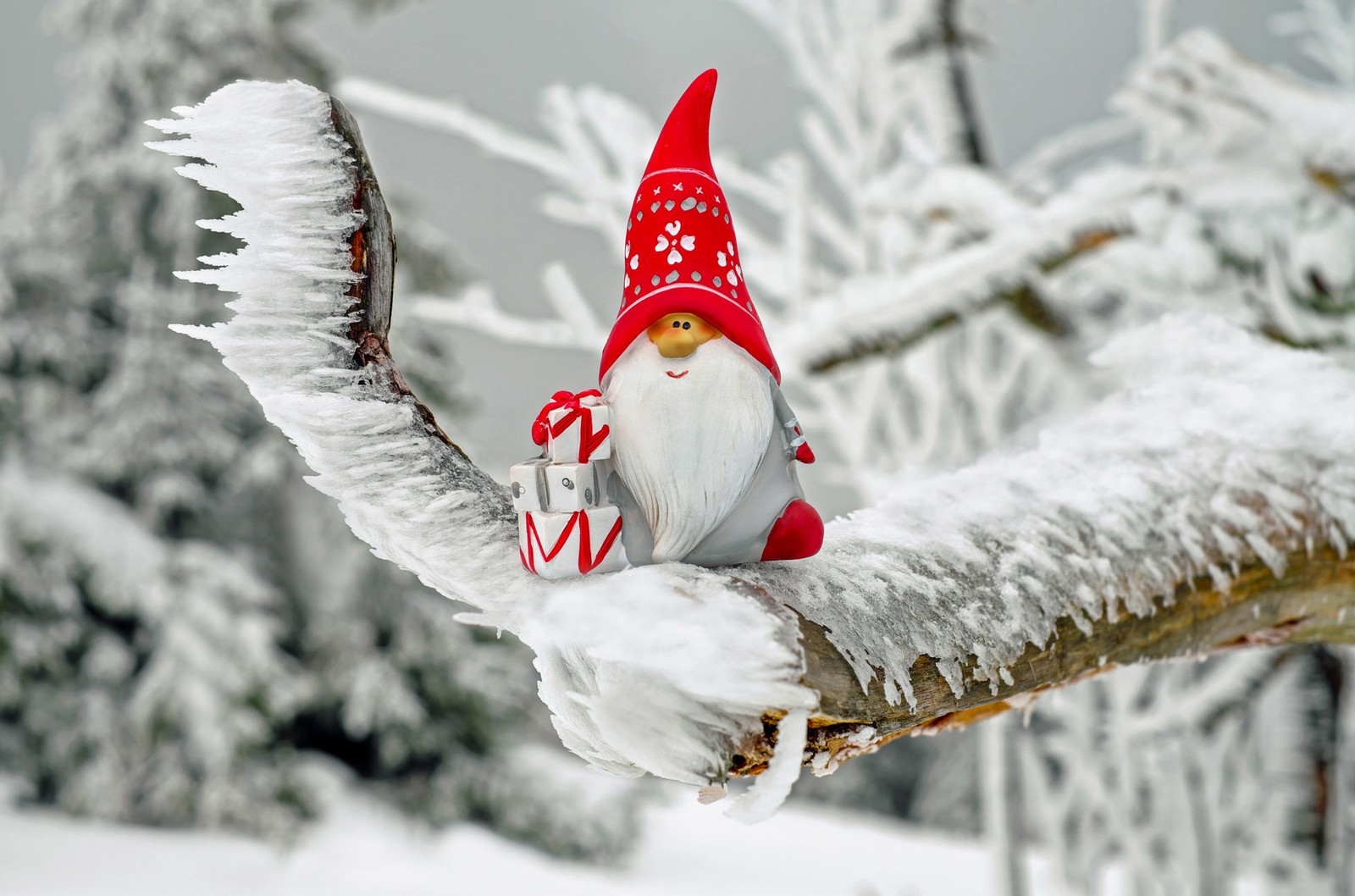 Há um gnomo sentado em um galho na neve (papai noel, dia de natal, inverno, neve, congelamento)