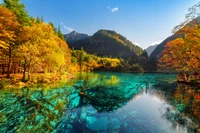 Herbstreflexionen im Naturreservat Jiuzhaigou: Ein lebendiger See, umgeben von buntem Pflanzenbewuchs und majestätischen Bergen.