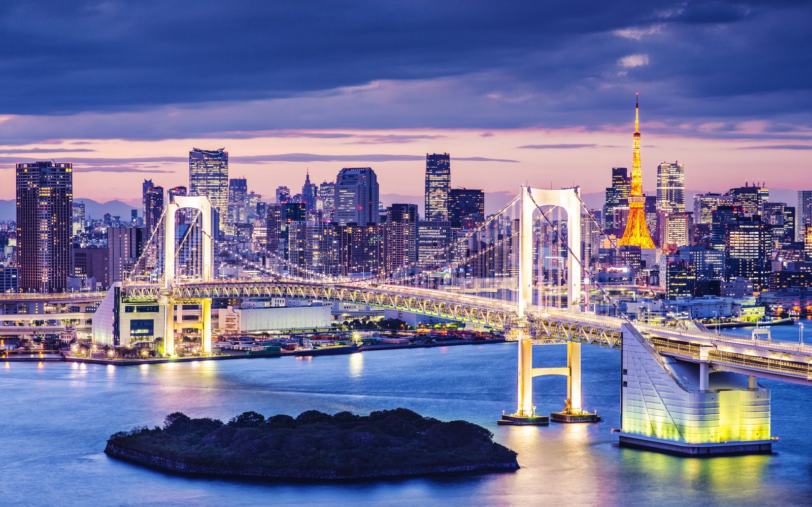 The tokyo skyline at night with a bridge and a large city in the background (rainbow bridge, illuminated, tokyo, japan, twilight)