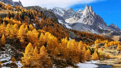 Paisagem montanhosa de outono com árvores de larch douradas