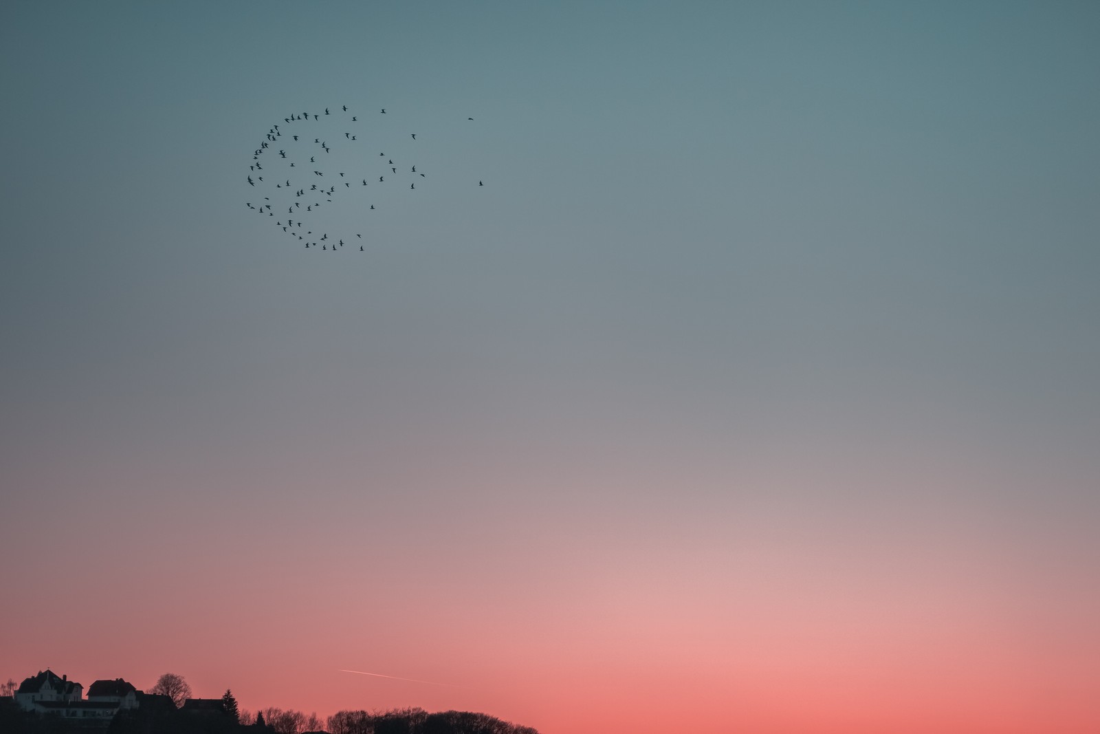 bird migration, cloud, evening, horizon, bird wallpaper